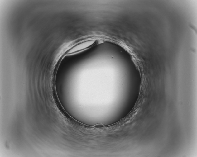 X0000093380007200710251228