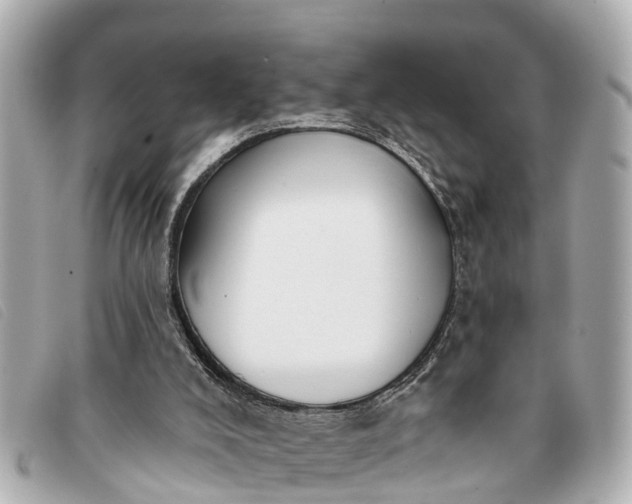 X0000093380008200710251228