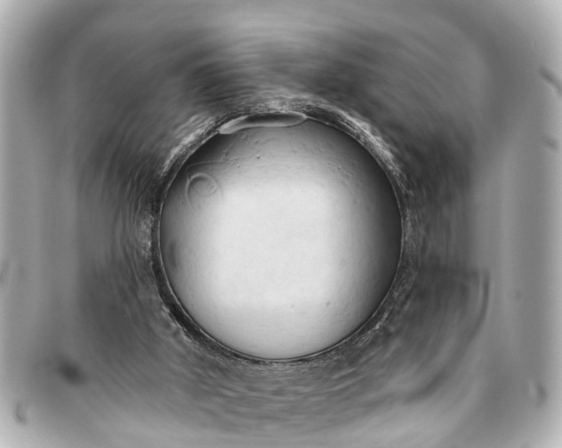 X0000093380010200710251228