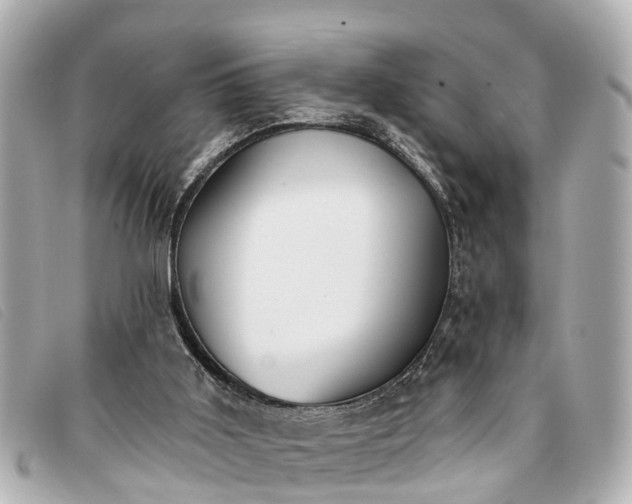 X0000093380011200710251228