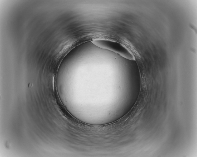 X0000093380014200710251228