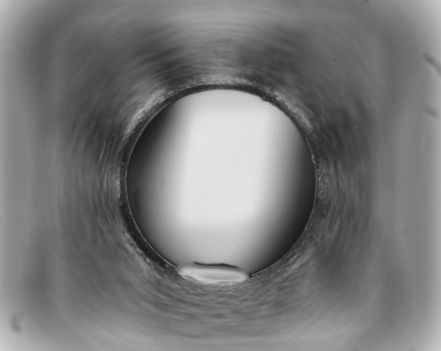 X0000093380015200710251228