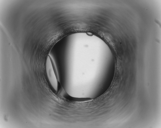 X0000093380017200710251228