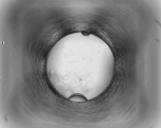 X0000093380018200710251228