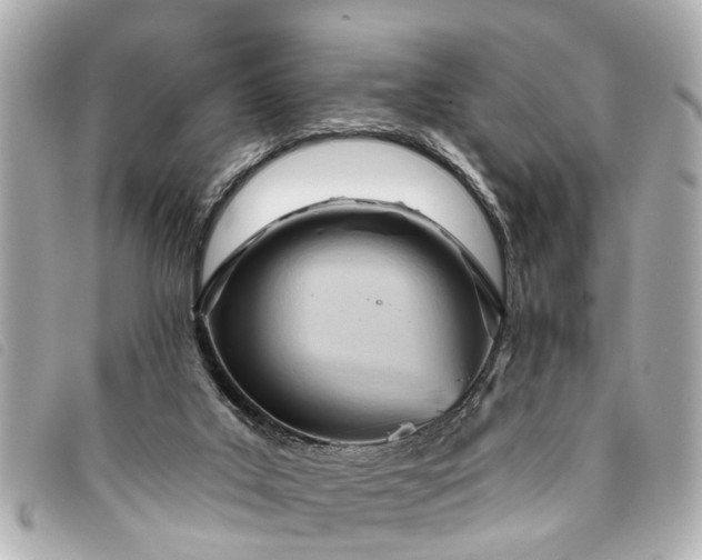 X0000093380019200710251228