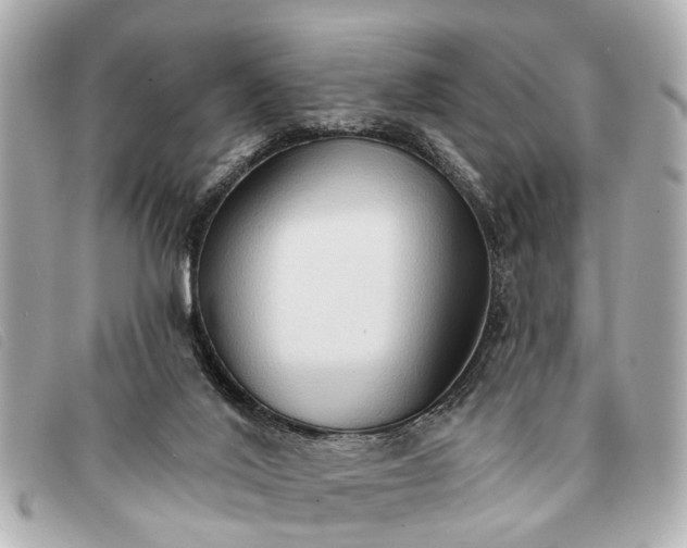 X0000093380020200710251228