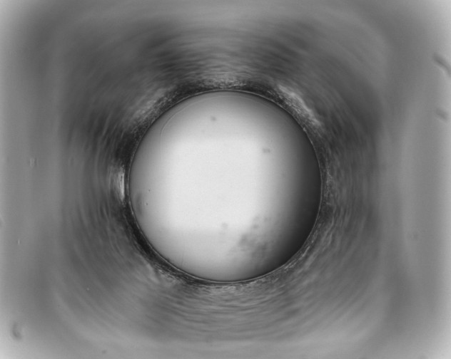 X0000093380021200710251228