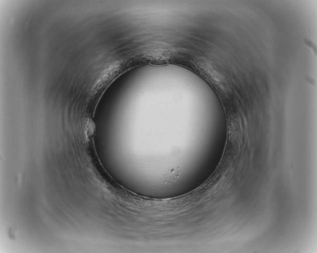 X0000093380023200710251228