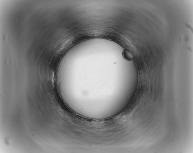 X0000093380024200710251228