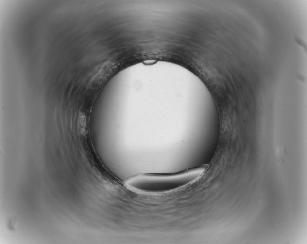 X0000093380025200710251228