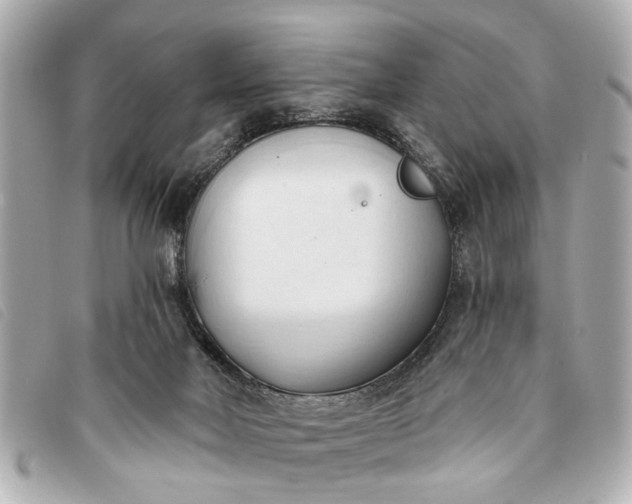 X0000093380026200710251228