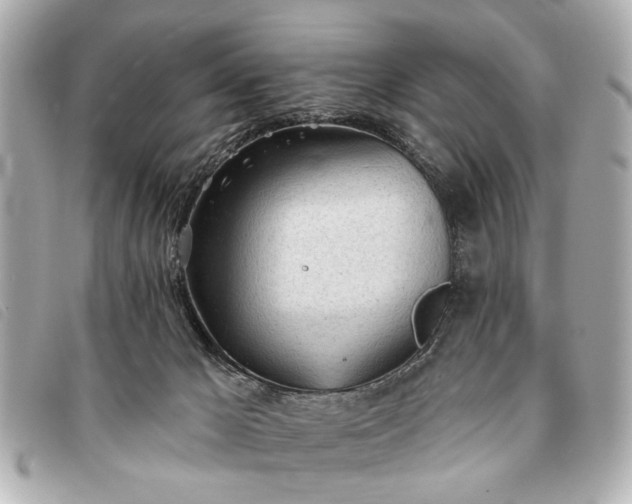 X0000093380029200710251228