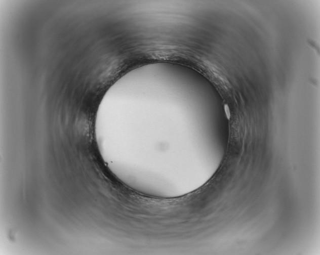 X0000093380031200710251228