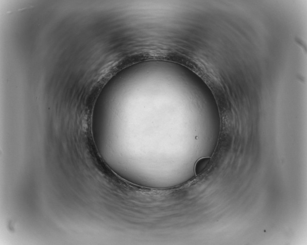 X0000093380032200710251228