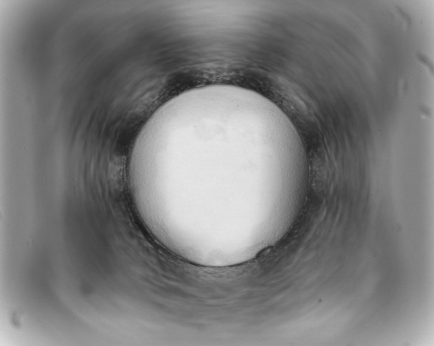 X0000093380034200710251228