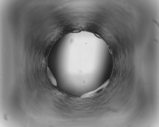 X0000093380037200710251228