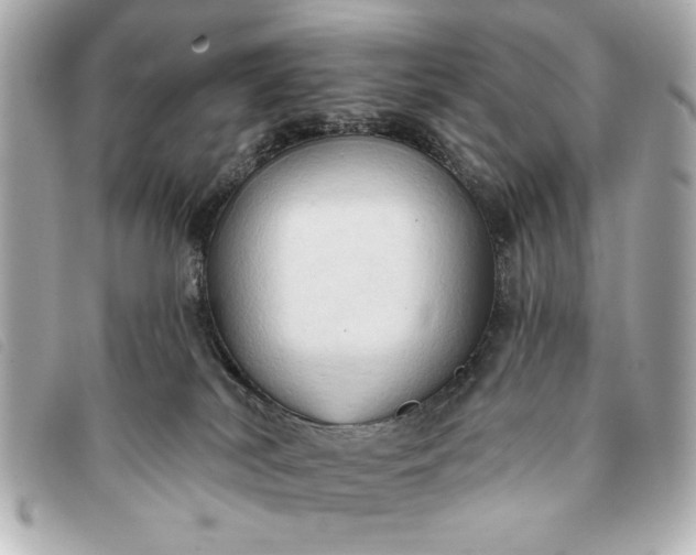 X0000093380038200710251228