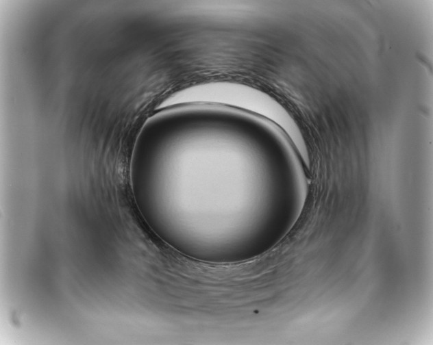 X0000093380039200710251228