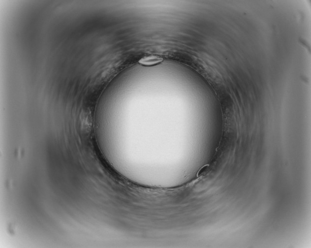 X0000093380040200710251228