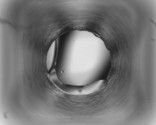 X0000093380041200710251228