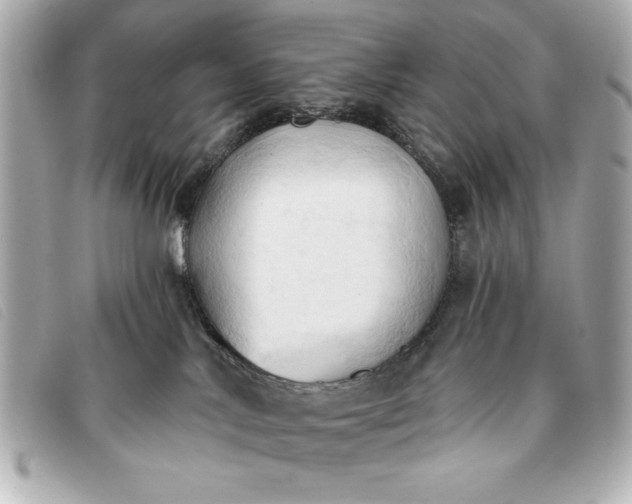 X0000093380042200710251228