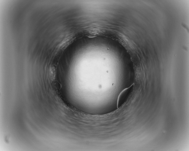 X0000093380043200710251228