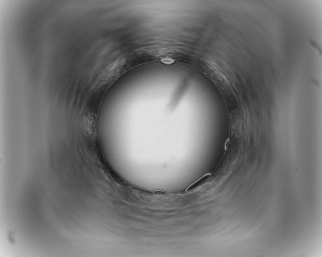 X0000093380044200710251228