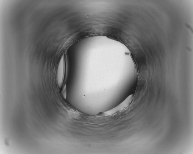 X0000093380045200710251228