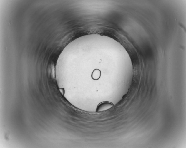 X0000093380046200710251228