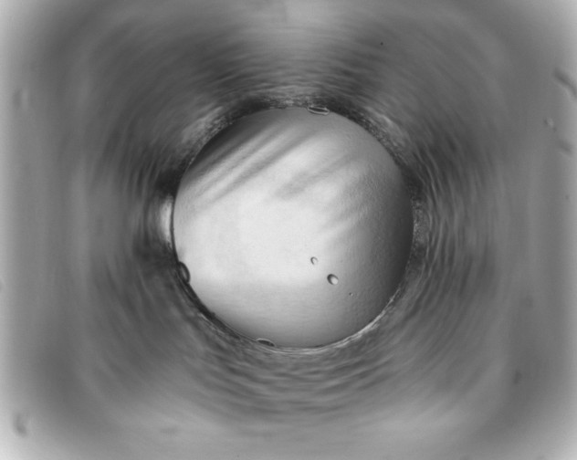 X0000093380047200710251228