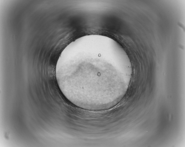 X0000093380048200710251228