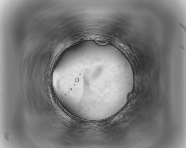 X0000093380049200710251226