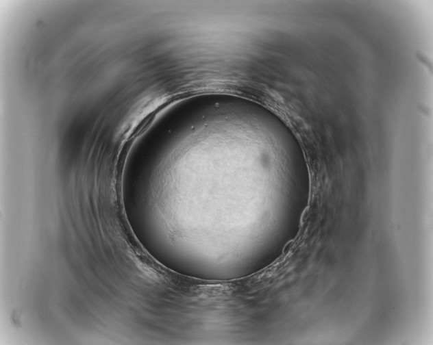 X0000093380050200710251227