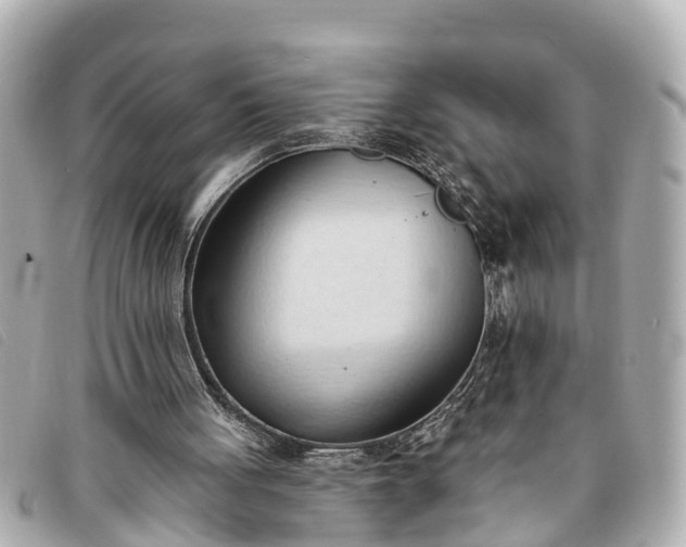 X0000093380051200710251227