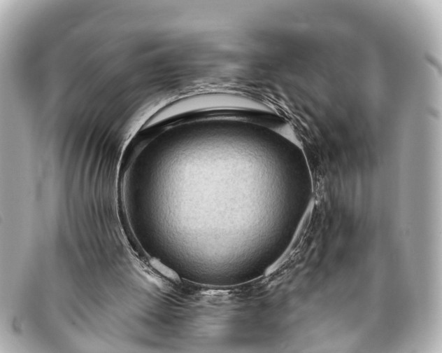 X0000093380052200710251227