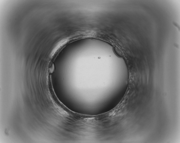 X0000093380054200710251227