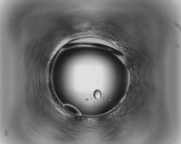 X0000093380056200710251227