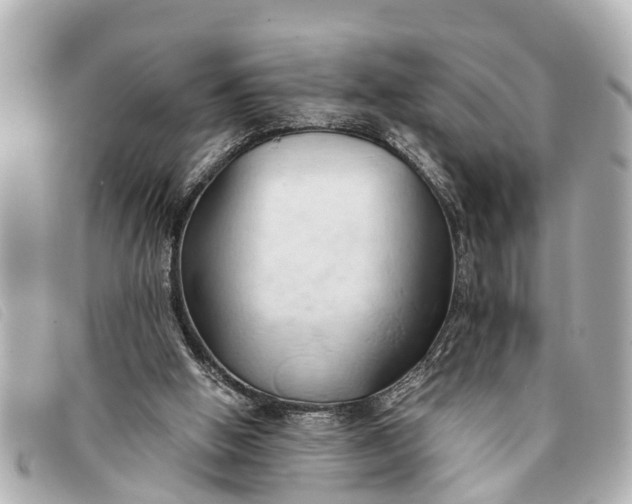 X0000093380058200710251227