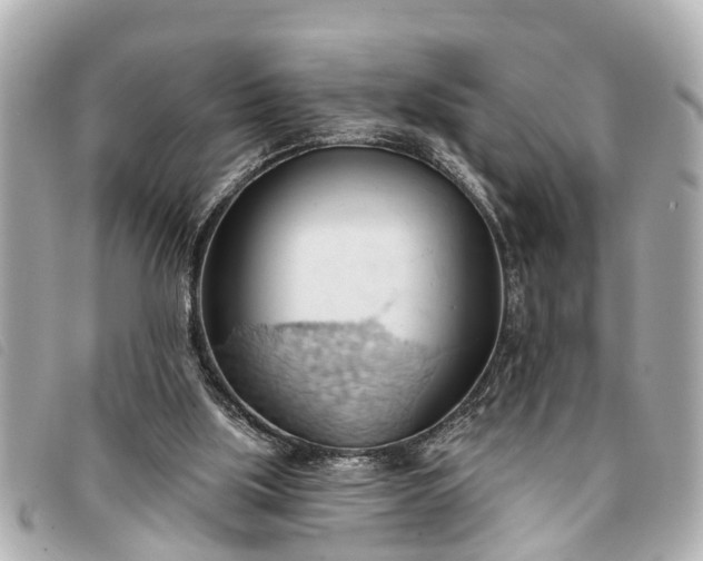 X0000093380059200710251227