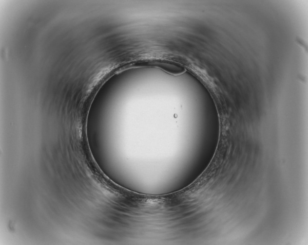 X0000093380060200710251227