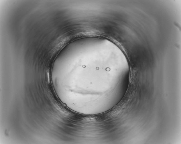 X0000093380061200710251227