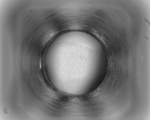 X0000093380062200710251227