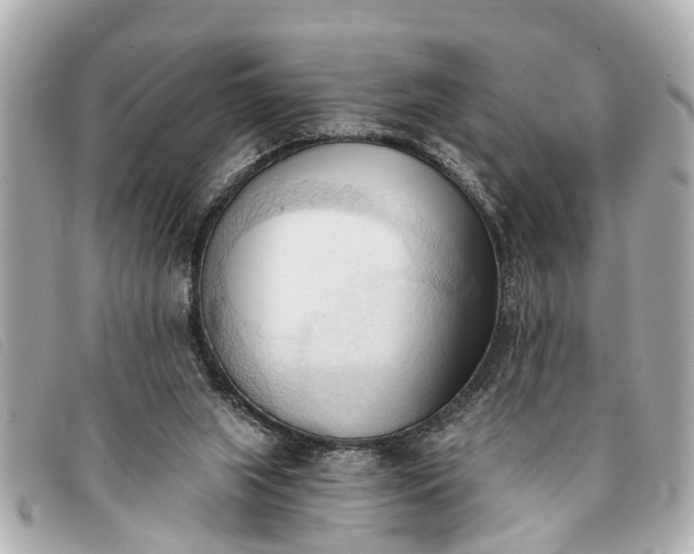 X0000093380063200710251227