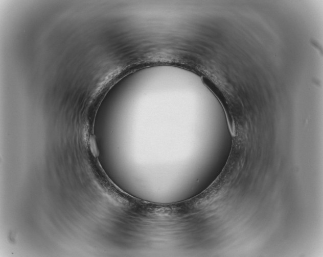 X0000093380064200710251227