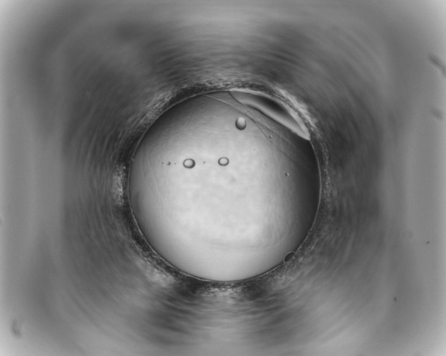 X0000093380065200710251227