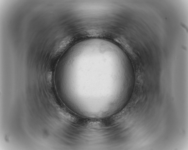 X0000093380066200710251227