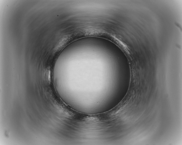 X0000093380067200710251227