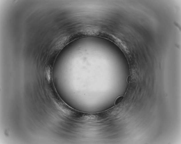 X0000093380069200710251227