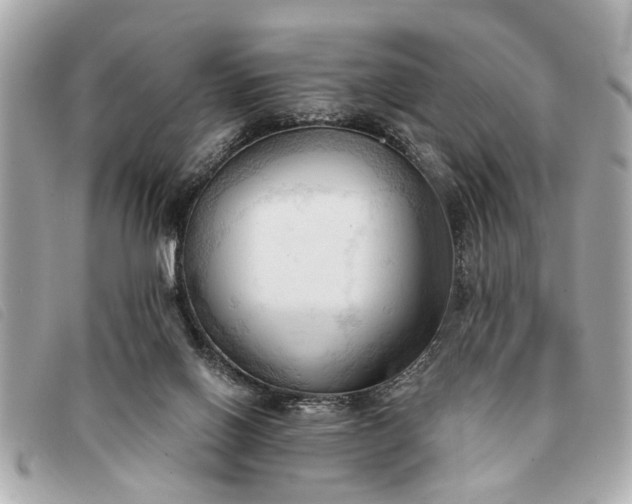 X0000093380070200710251227