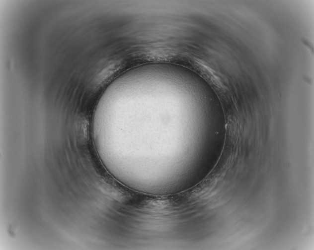 X0000093380071200710251227